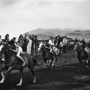 Tapati Rapanui 2008 • Youth Horse Race